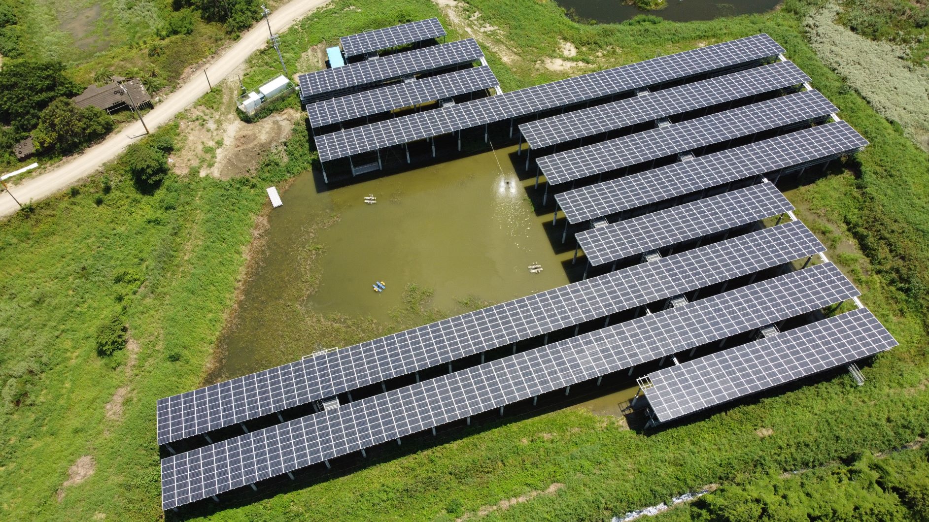Chiayi Fish Farm is Taiwan’s first site with fishery and electricity symbiosis (Picture provided by New Green Power)